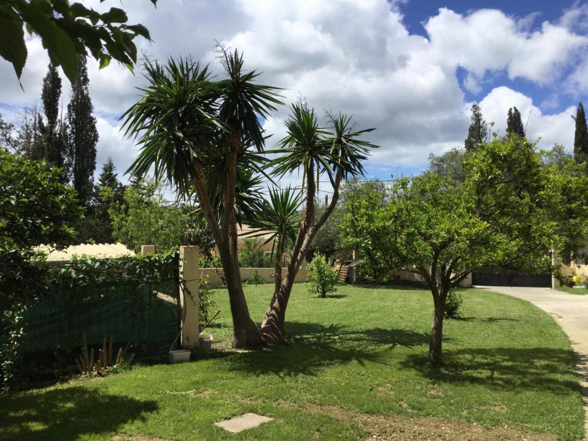 Casa Evi Corfu 1 Apartment Potamos  Ngoại thất bức ảnh